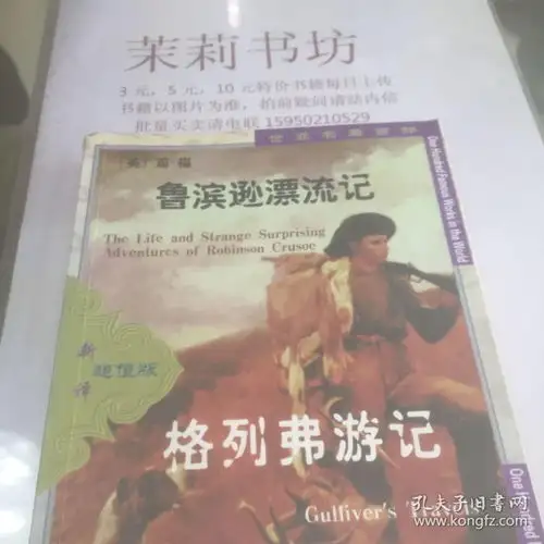 鲁滨逊漂流记