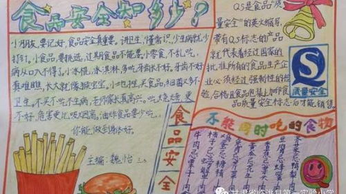 安全教育活动周系列活动纪实