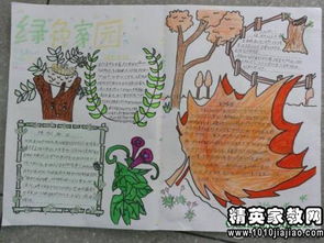 植树节的手抄报资料大全
