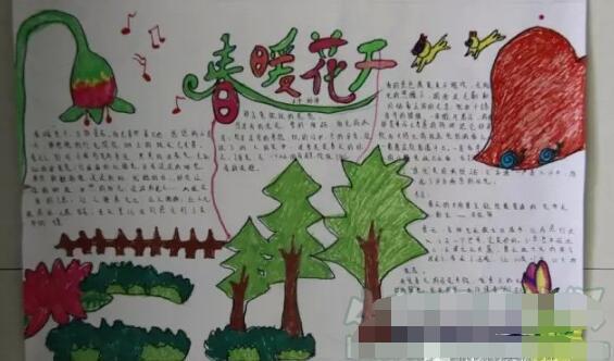 关于春天来了的手抄报春来到的板报图片
