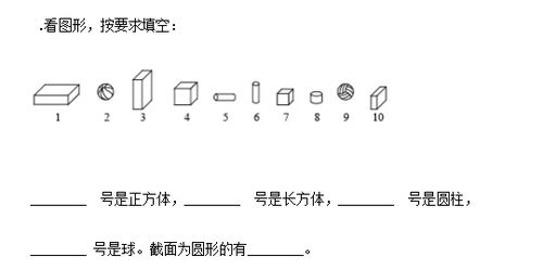 小学一年级数学区分图形专项练习题三十三