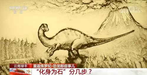 恐龙的祖先是什么化身为石分几步死后为何头朝东方穿越亿万年,一起探索远古的奥秘