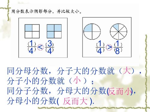 北师大版三年级数学下册课件总复习第二课下载数学