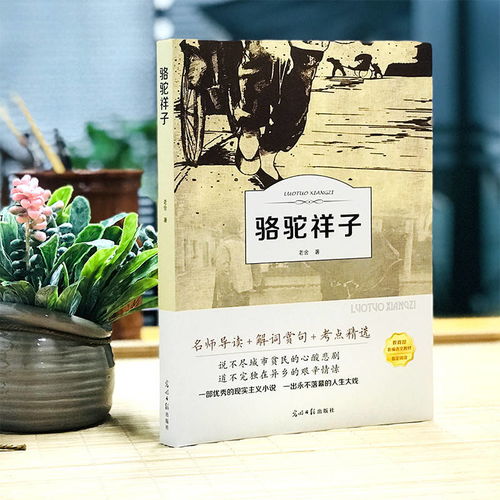 朝花夕拾鲁迅骆驼祥子老舍海底两万里原著七年级初一阅读经典名著