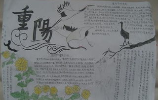 四年级的重阳节手抄报