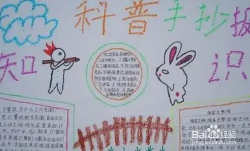 二年级科学手抄报内容