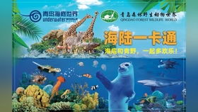 爱ta就在青岛海底世界大声喊出来,别像沙鳗太害羞