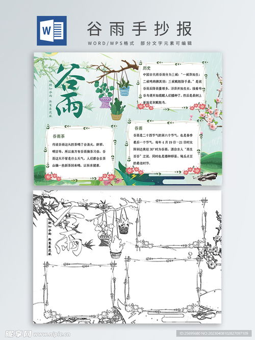 谷雨手抄报设计图