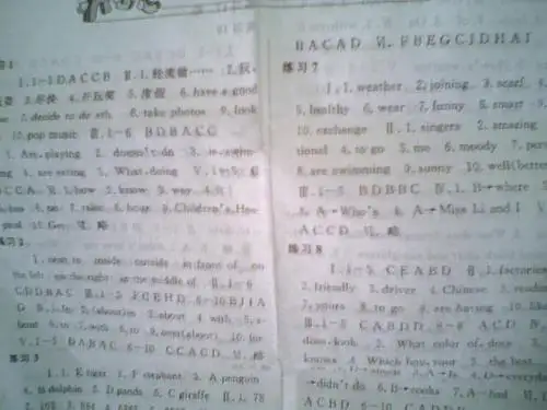 七年级下册人教版语文出版社暑假作业语英语答案