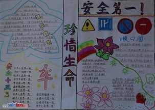 手抄报珍惜生命