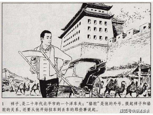 绝大多数人活着的真相拼尽全力没有逆袭,唯有沉默迎接死亡