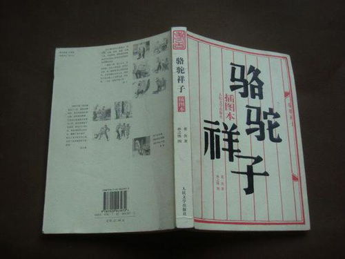 骆驼祥子的精彩句摘抄