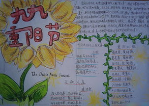 小学生重阳节手抄报