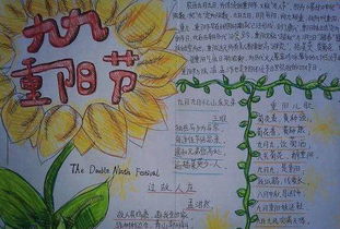 九九重阳节手抄报图片5张