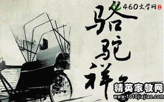 骆驼祥子读书笔记600字3篇