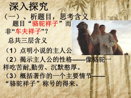 部编版语文七年级下册第三单元名著导读骆驼祥子共21张ppt