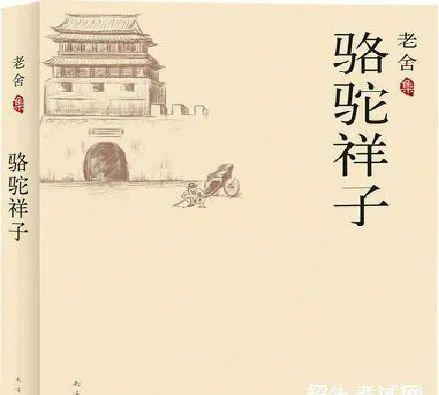 三生三世一场梦骆驼祥子指导课