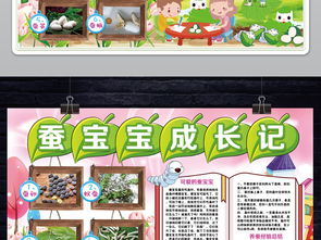 养蚕小报蚕宝宝成长记动物观察日记手抄小报素材图片psd模板下载148.91mb爱护动植物手抄报大全环保手抄报