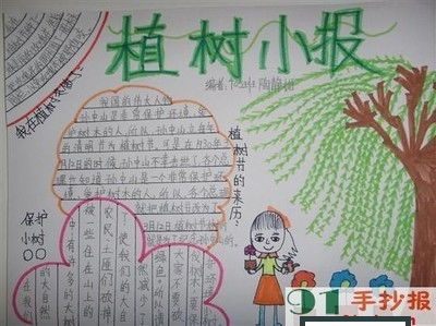 植树节手抄报的底色应该是什么颜色