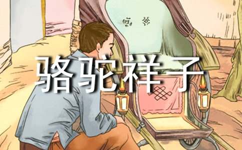 名家经典骆驼祥子读书心得