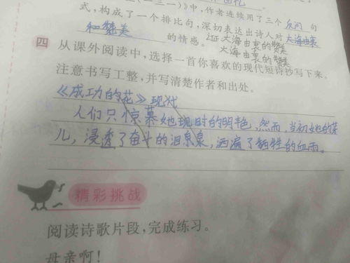 冰心的现代短诗繁星