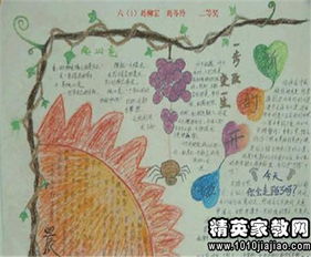 关于雷锋格言