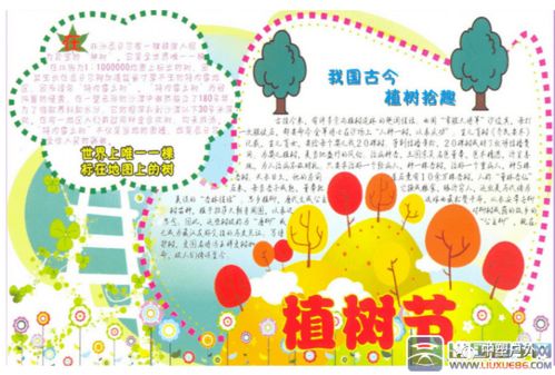 一起沐春光载树苗,收获绿色的希望