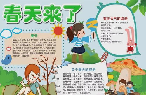 春暖花开,关于春天的手抄报合集,快为孩子存一份吧,很有用踏春节日网易订阅