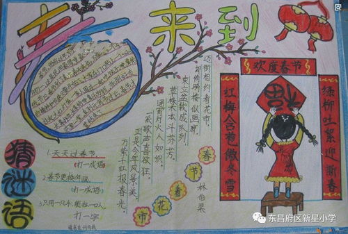 新星小学自觉抵制燃放烟花爆竹倡议书
