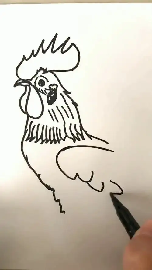 简笔画大公鸡,简单又漂亮,你学会了吗