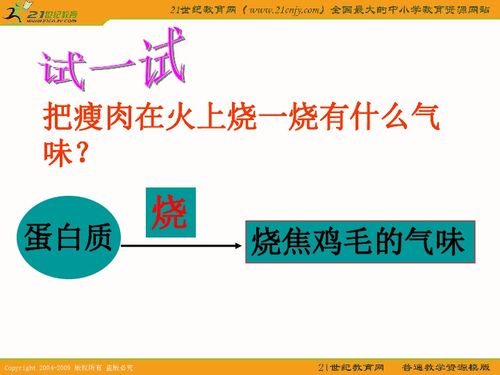 四年级科学下册课件食物的营养教科版