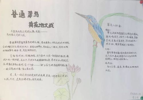 向更好迈进
