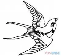 春天燕子怎么画简单又好看涂颜色