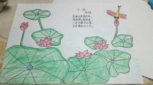 古诗小池的意思