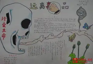 2017年禁毒手抄报资料大全