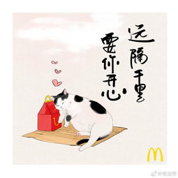该