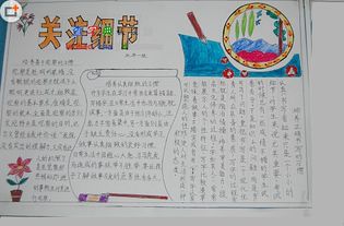细节决定成败手抄报竖板