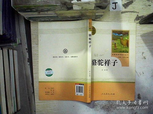 骆驼祥子七年级下老舍著