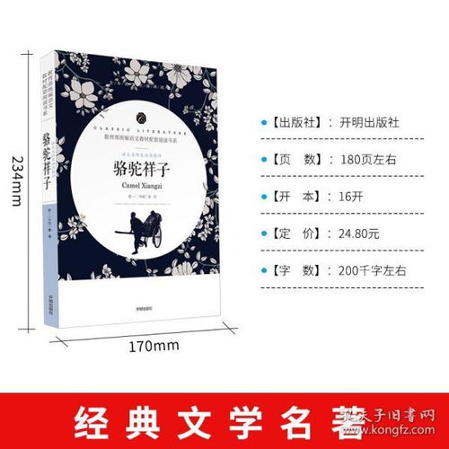 文学类书籍畅销文学书经典文学作品国外文学古代文学名家作品青春纪实散文