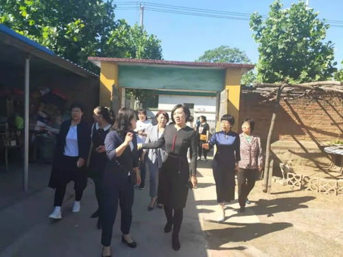 乐亭县美丽庭院创建工作取得新成效