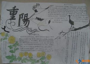 重阳节手抄报超急超急超急超急超急超急急急急