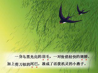 课文燕子是以什么为线索