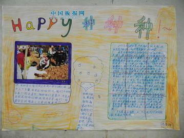 关于小种植的手抄报,有图片内容文字