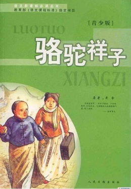 骆驼祥子书的照片