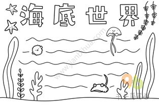 海底世界手抄报内容