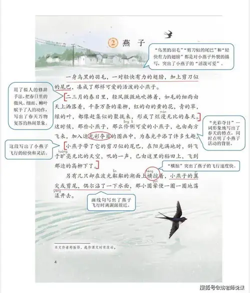 三年级下册语文第一单元知识点第二课燕子