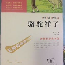 在线收听mp3下载荔枝