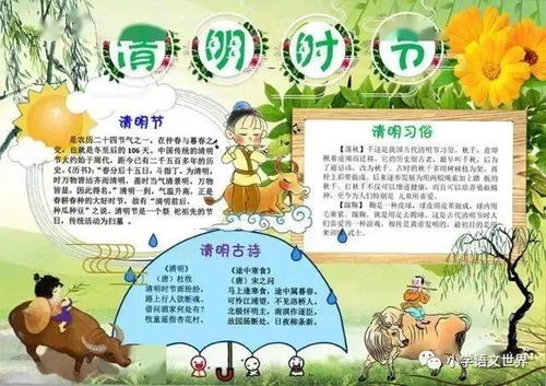 清明节手抄报精选素材大全