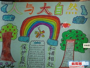 手工制作手抄报图片