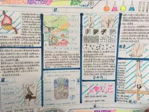 最新化学手抄报版面设计图片,关于化学与生活的手抄报内容天天板报网